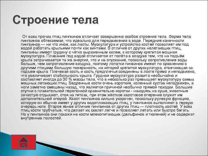 Строение тела От всех прочих птиц пингвинов отличает совершенно особое строение тела. Форма тела