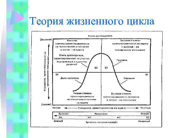 Теория жизненного цикла 