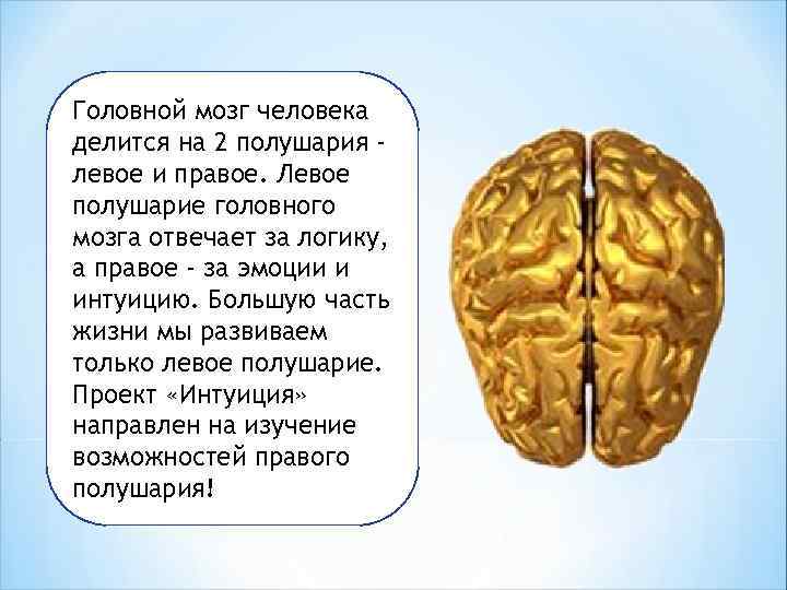 Загадки полушарий головного мозга презентация