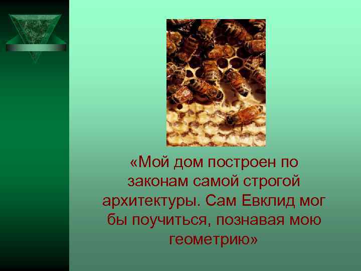  «Мой дом построен по законам самой строгой архитектуры. Сам Евклид мог бы поучиться,