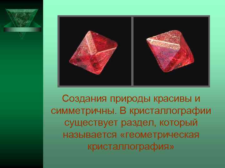 Создания природы красивы и симметричны. В кристаллографии существует раздел, который называется «геометрическая кристаллография» 