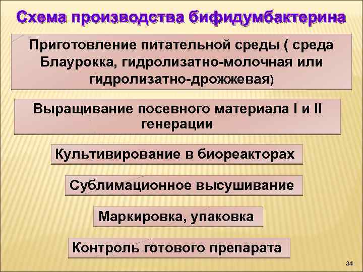 Технологическая схема производства пробиотиков