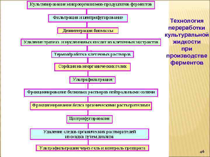 Производство пробиотиков презентация