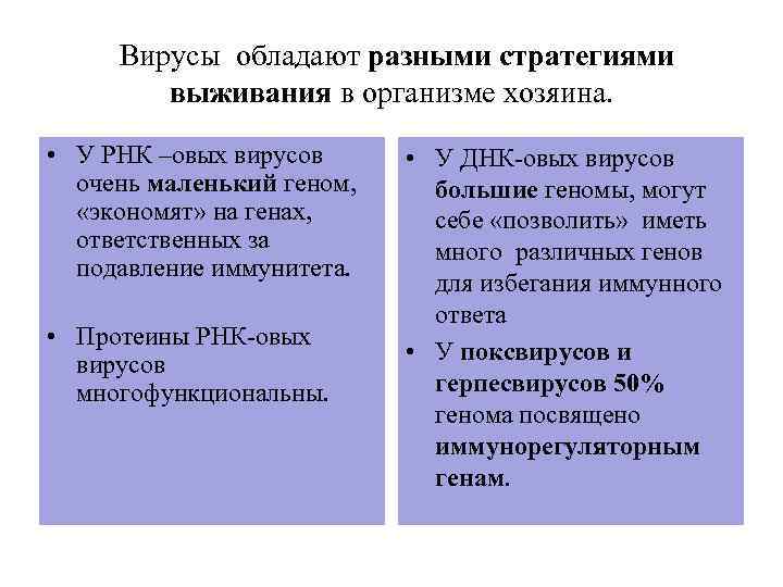Вирусы обладают разными стратегиями выживания в организме хозяина. • У РНК –овых вирусов очень