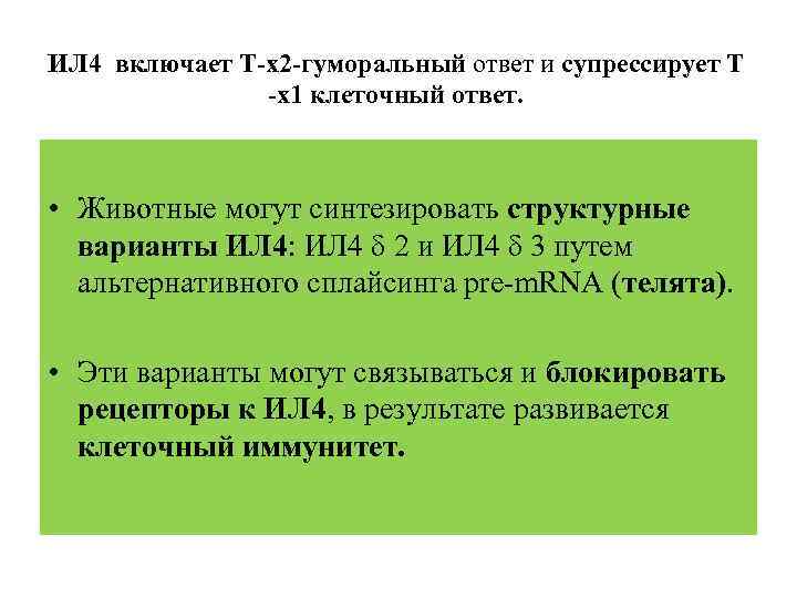 ИЛ 4 включает Т-х2 -гуморальный ответ и супрессирует Т -х1 клеточный ответ. • Животные