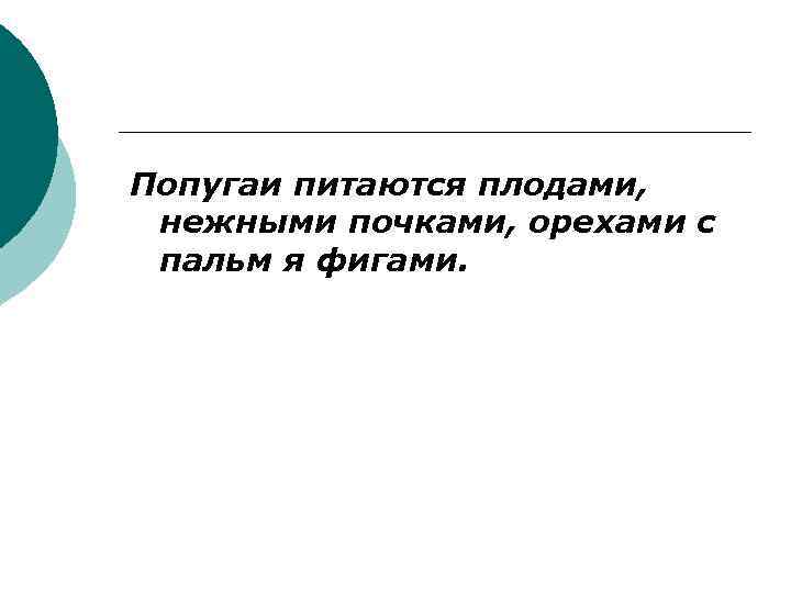 Попугаи питаются плодами, нежными почками, орехами с пальм я фигами. 