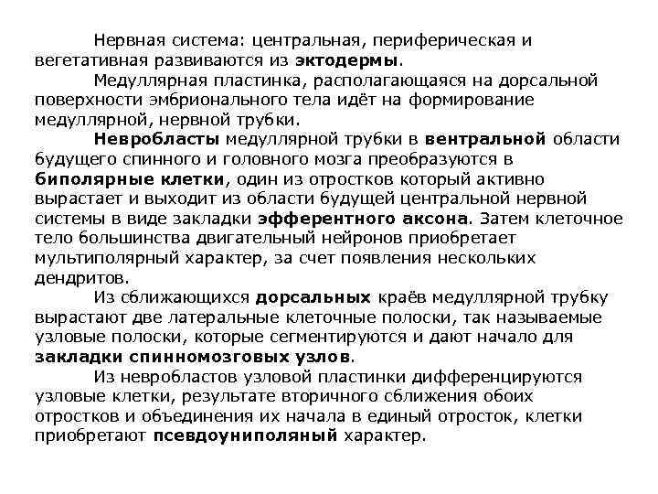 Нервная система: центральная, периферическая и вегетативная развиваются из эктодермы. Медуллярная пластинка, располагающаяся на дорсальной