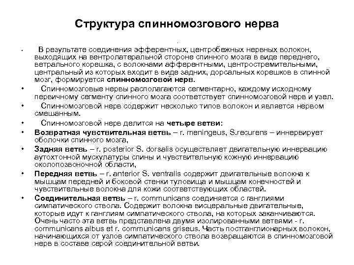 Структура спинномозгового нерва. • • В результате соединения эфферентных, центробежных нервных волокон, выходящих на