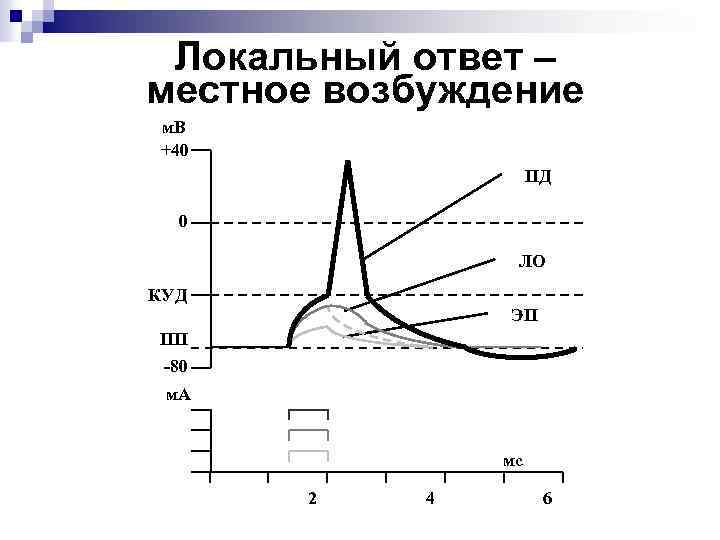 Локальный ответ – местное возбуждение м. В +40 ПД 0 ЛО КУД ЭП ПП