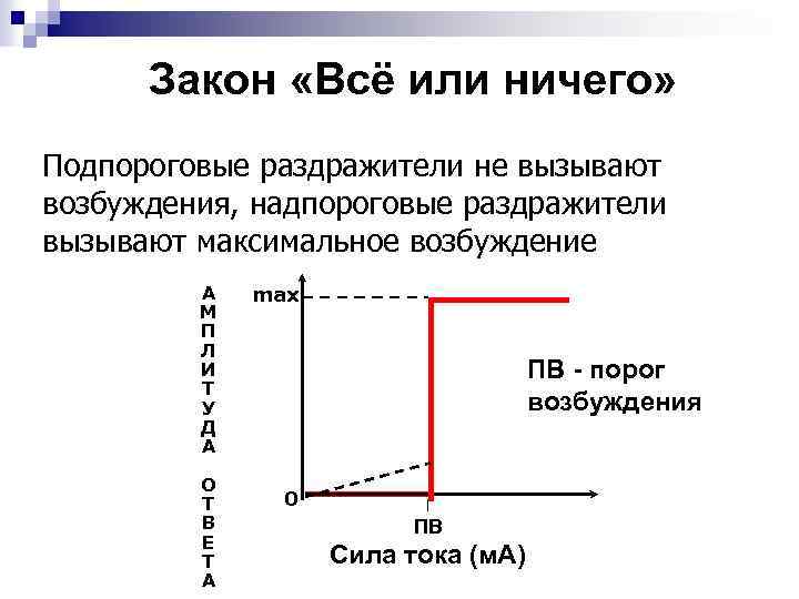 Закон «Всё или ничего» Подпороговые раздражители не вызывают возбуждения, надпороговые раздражители вызывают максимальное возбуждение