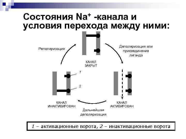 Создание объемного или полого элемента перехода архикад