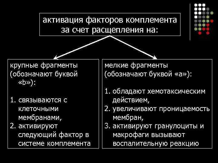 активация факторов комплемента за счет расщепления на: крупные фрагменты (обозначают буквой «b» ): 1.