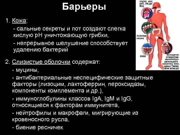 Барьеры 1. Кожа: - сальные секреты и пот создают слегка кислую р. Н уничтожающую
