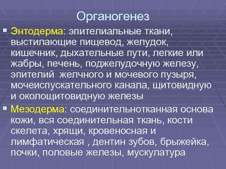 Органогенез § Энтодерма: эпителиальные ткани, выстилающие пищевод, желудок, кишечник, дыхательные пути, легкие или жабры,