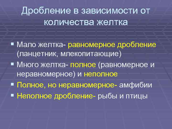 Дробление в зависимости от количества желтка § Мало желтка- равномерное дробление (ланцетник, млекопитающие) §