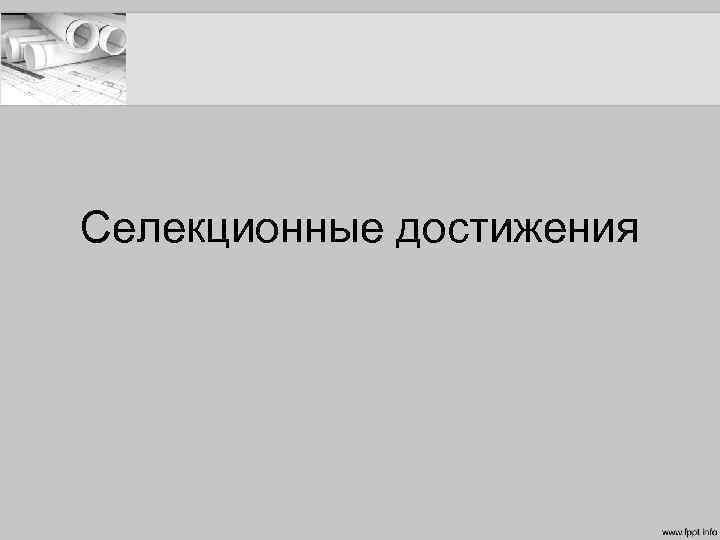 Селекционные достижения 