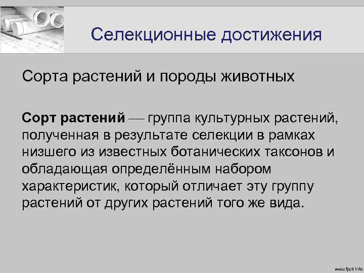 Селекционные достижения Сорта растений и породы животных Сорт растений группа культурных растений, полученная в