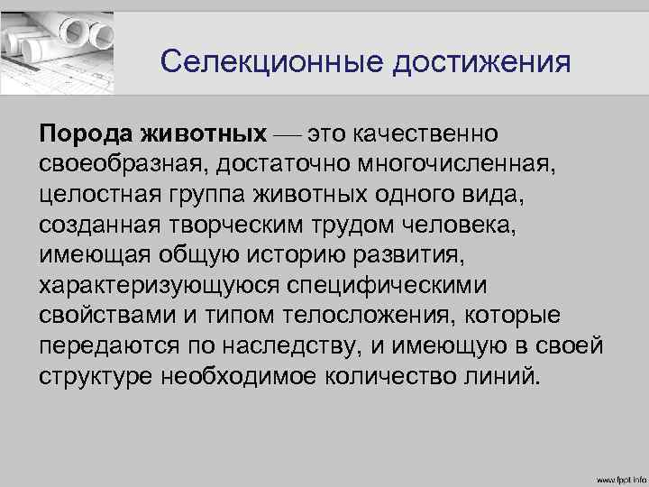 Селекционные достижения Порода животных это качественно своеобразная, достаточно многочисленная, целостная группа животных одного вида,