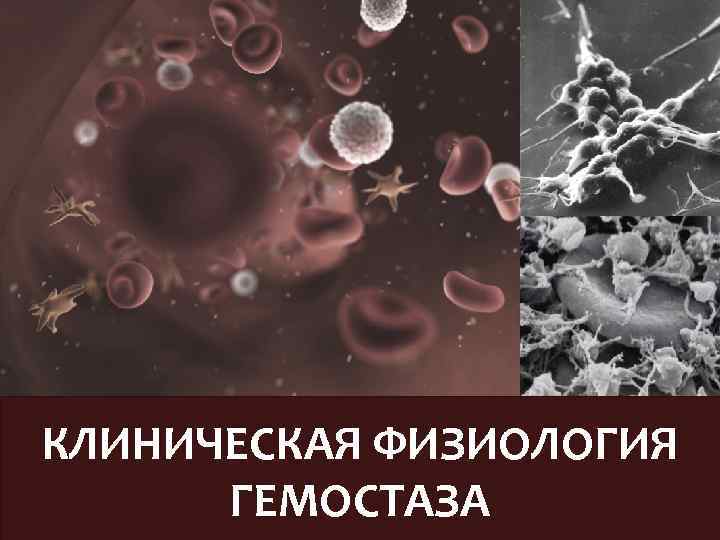 КЛИНИЧЕСКАЯ ФИЗИОЛОГИЯ ГЕМОСТАЗА 