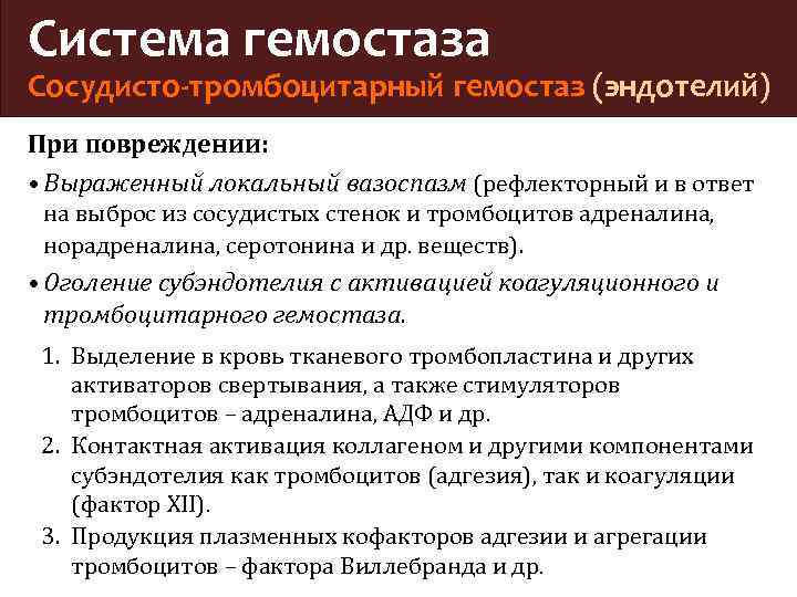 Механизм тромборезистентности сосудистой стенки