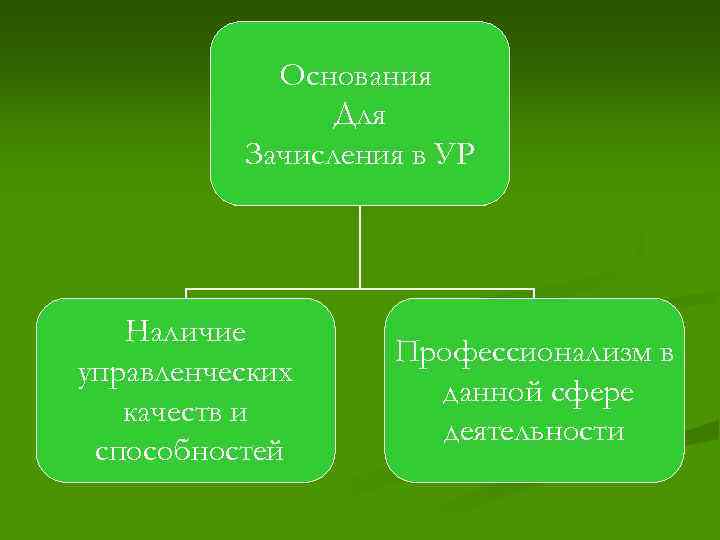 Основания Для Зачисления в УР Наличие управленческих качеств и способностей Профессионализм в данной сфере