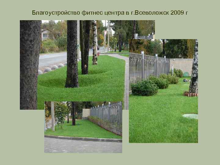 Благоустройство фитнес центра в г. Всеволожск 2009 г 
