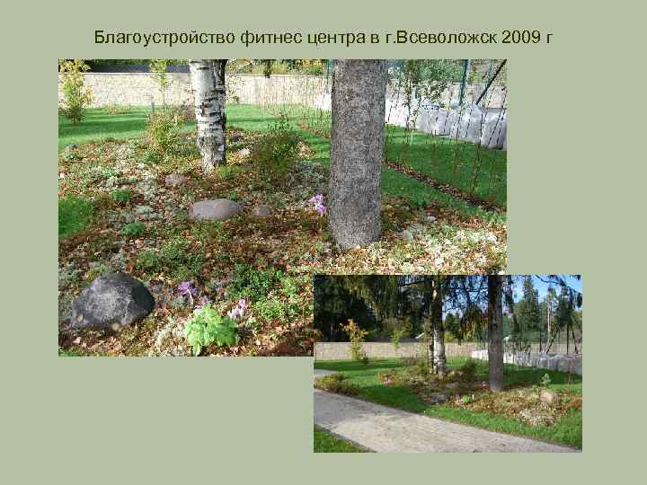 Благоустройство фитнес центра в г. Всеволожск 2009 г 