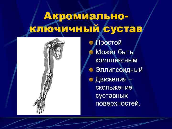 Акромиальноключичный сустав Простой Может быть комплексным Эллипсоидный Движения – скольжение суставных поверхностей. 