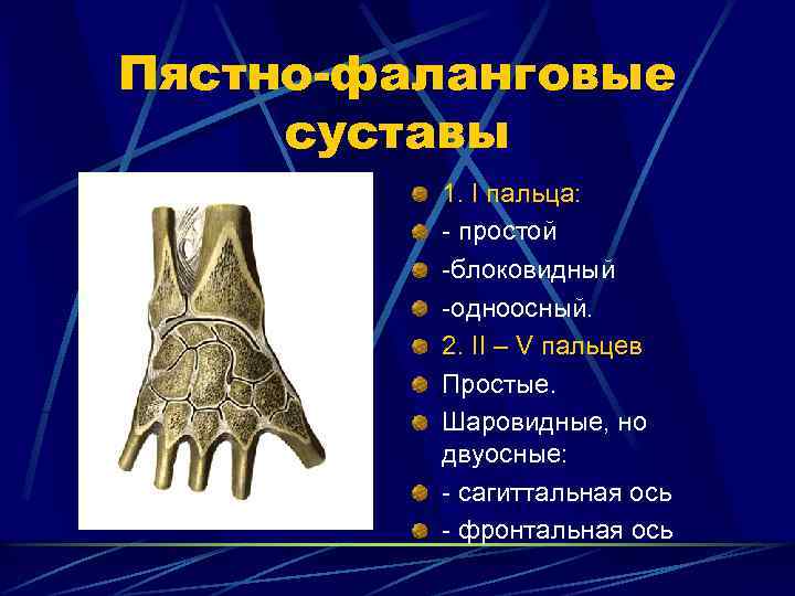 Пястно-фаланговые суставы 1. I пальца: - простой -блоковидный -одноосный. 2. II – V пальцев
