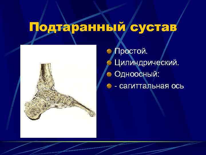 Подтаранный сустав Простой. Цилиндрический. Одноосный: - сагиттальная ось 