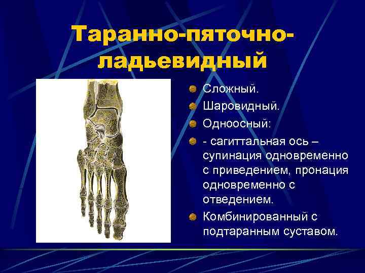 Таранно-пяточноладьевидный Сложный. Шаровидный. Одноосный: - сагиттальная ось – супинация одновременно с приведением, пронация одновременно