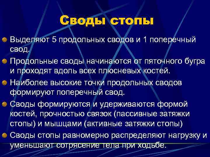 Своды стопы Выделяют 5 продольных сводов и 1 поперечный свод. Продольные своды начинаются от