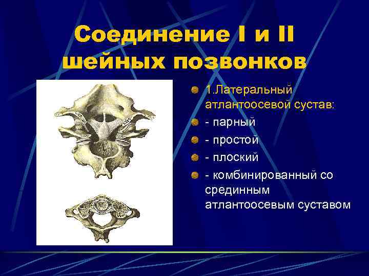 Соединение I и II шейных позвонков 1. Латеральный атлантоосевой сустав: - парный - простой