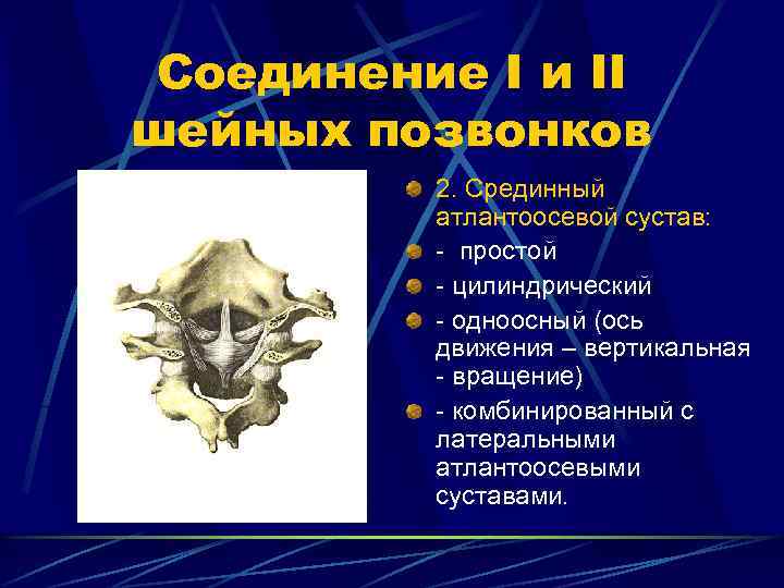 Соединение I и II шейных позвонков 2. Срединный атлантоосевой сустав: - простой - цилиндрический