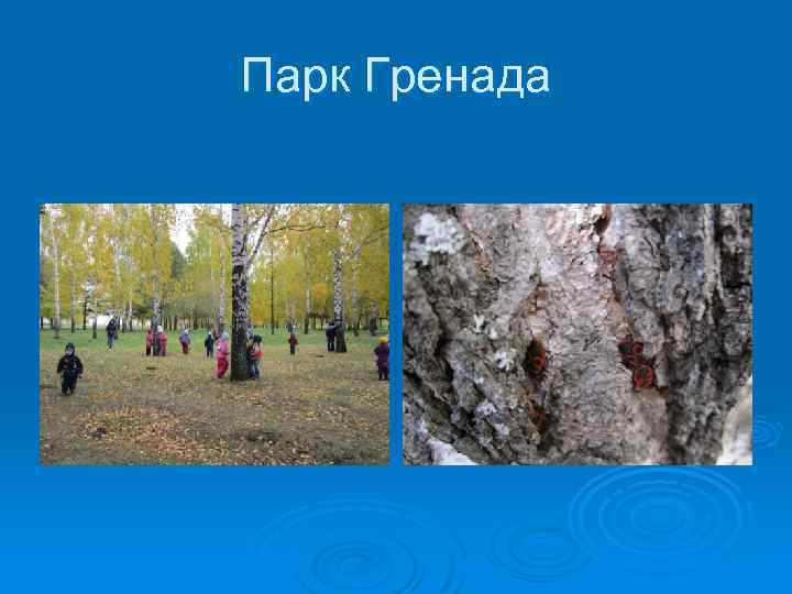 Парк Гренада 