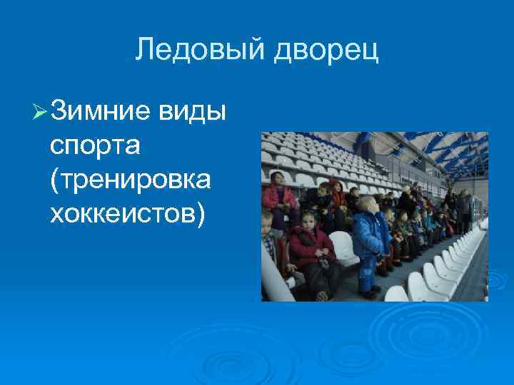 Ледовый дворец Ø Зимние виды спорта (тренировка хоккеистов) 