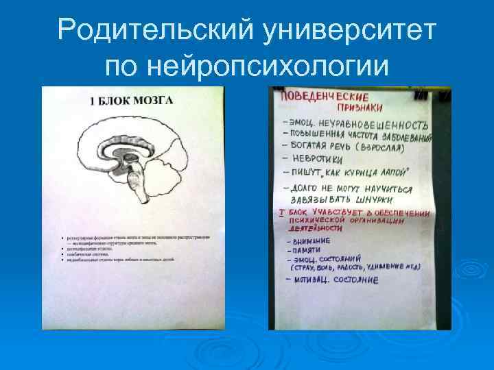Родительский университет по нейропсихологии 