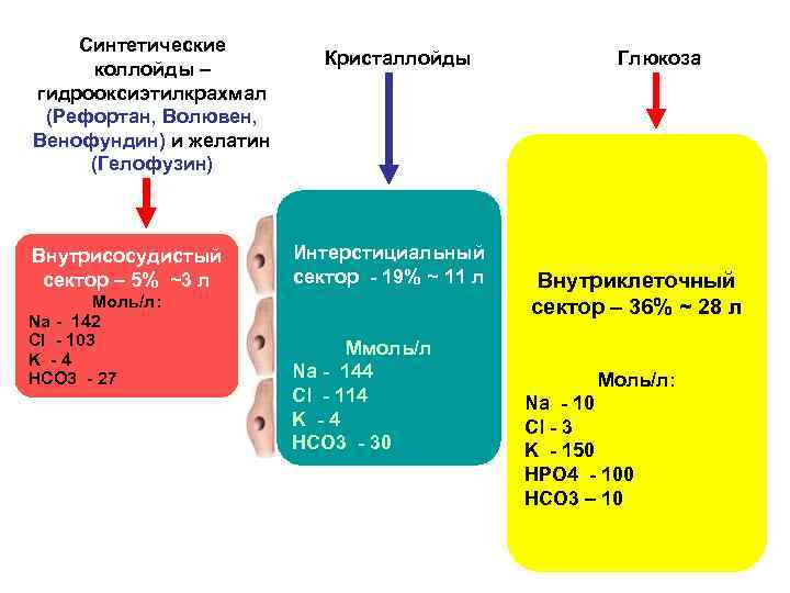 Синтетические коллойды – гидрооксиэтилкрахмал (Рефортан, Волювен, Венофундин) и желатин (Гелофузин) Внутрисосудистый сектор – 5%