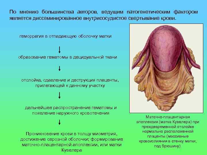 По мнению большинства авторов, ведущим патогенетическим фактором является диссеминированное внутрисосудистое свертывание крови. геморрагия в