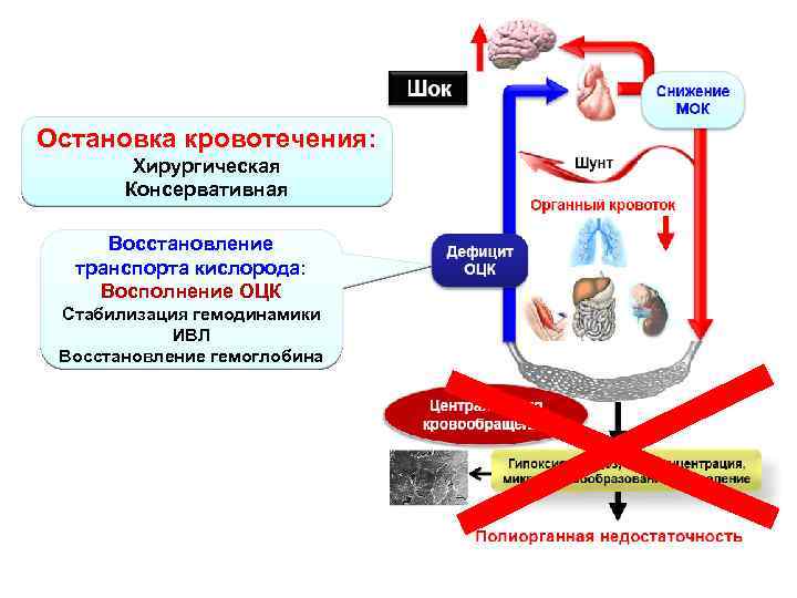 Остановка кровотечения: Хирургическая Консервативная Восстановление транспорта кислорода: Восполнение ОЦК Стабилизация гемодинамики ИВЛ Восстановление гемоглобина