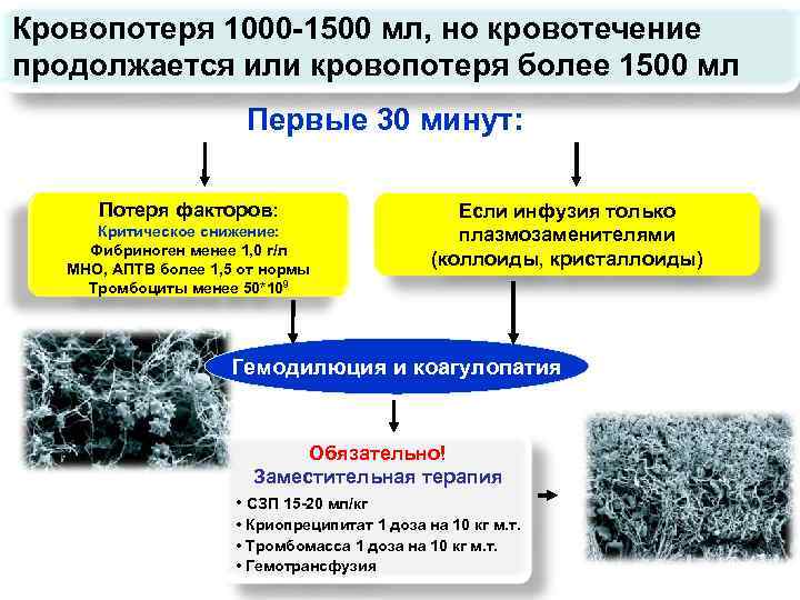 Кровопотеря 1000 -1500 мл, но кровотечение продолжается или кровопотеря более 1500 мл Первые 30