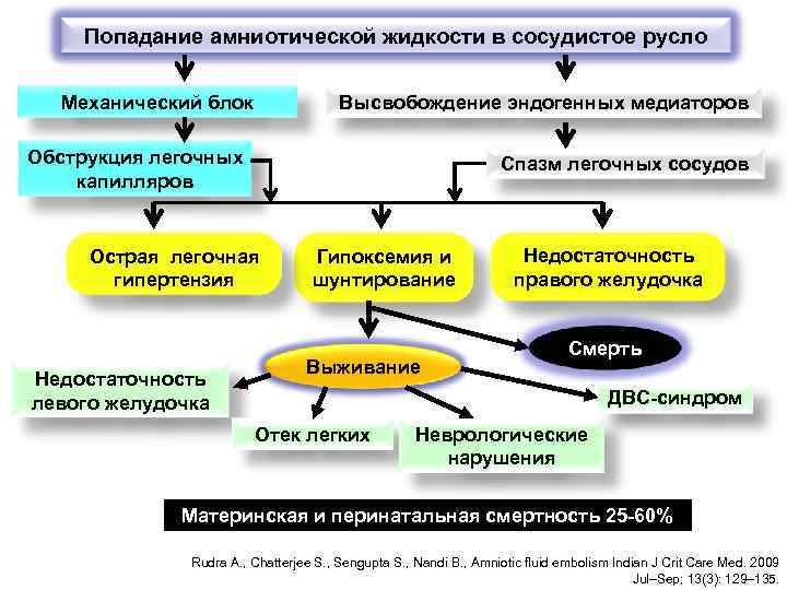 Попадание амниотической жидкости в сосудистое русло Механический блок Высвобождение эндогенных медиаторов Обструкция легочных капилляров