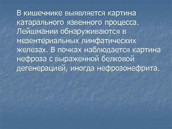 В кишечнике выявляется картина катарального язвенного процесса. Лейшмании обнаруживаются в мезентериальных лимфатических железах. В