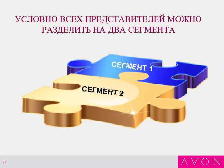 УСЛОВНО ВСЕХ ПРЕДСТАВИТЕЛЕЙ МОЖНО РАЗДЕЛИТЬ НА ДВА СЕГМЕНТА СЕГМЕН Т 1 СЕГМЕН Т 2