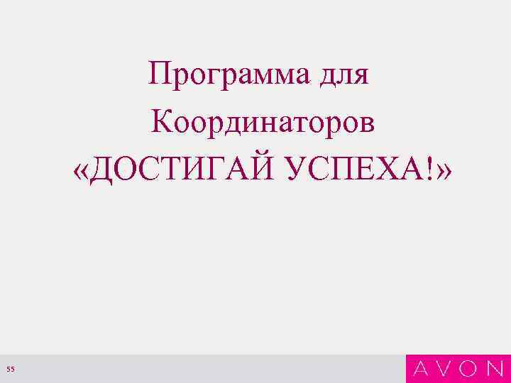 Программа для Координаторов «ДОСТИГАЙ УСПЕХА!» 55 