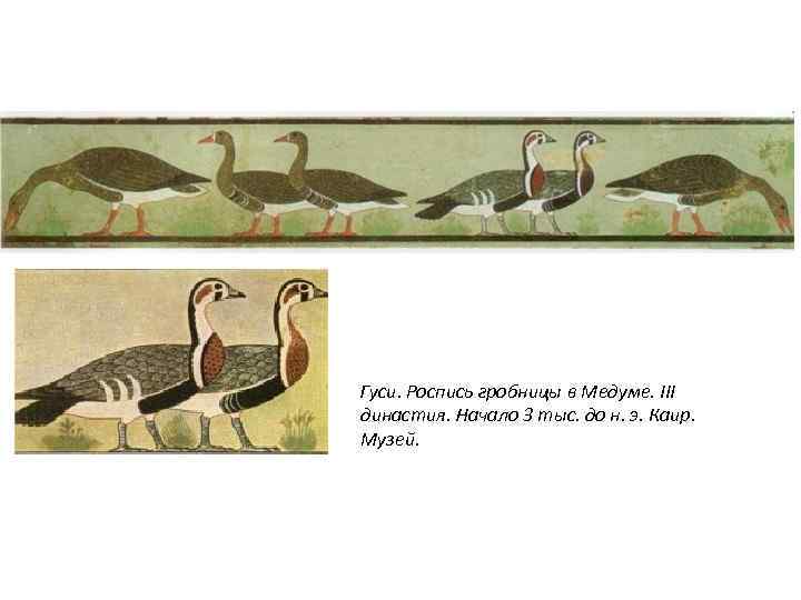 Гуси. Роспись гробницы в Медуме. III династия. Начало 3 тыс. до н. э. Каир.