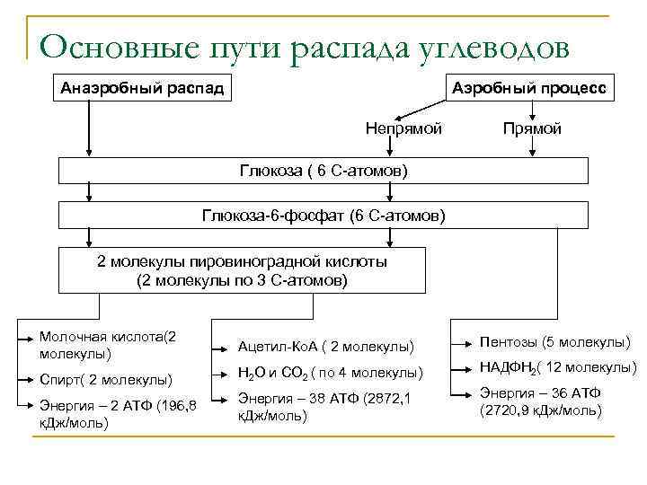 Основные пути распада углеводов Анаэробный распад Аэробный процесс Непрямой Прямой Глюкоза ( 6 С-атомов)