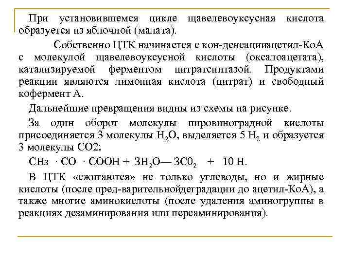 При установившемся цикле щавелевоуксусная кислота образуется из яблочной (малата). Собственно ЦТК начинается с кон