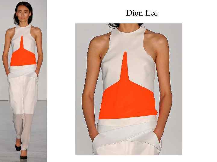 Dion Lee 