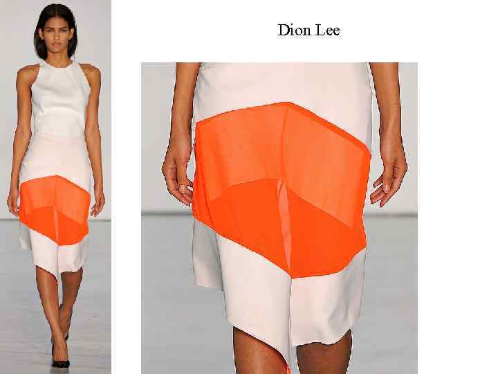 Dion Lee 